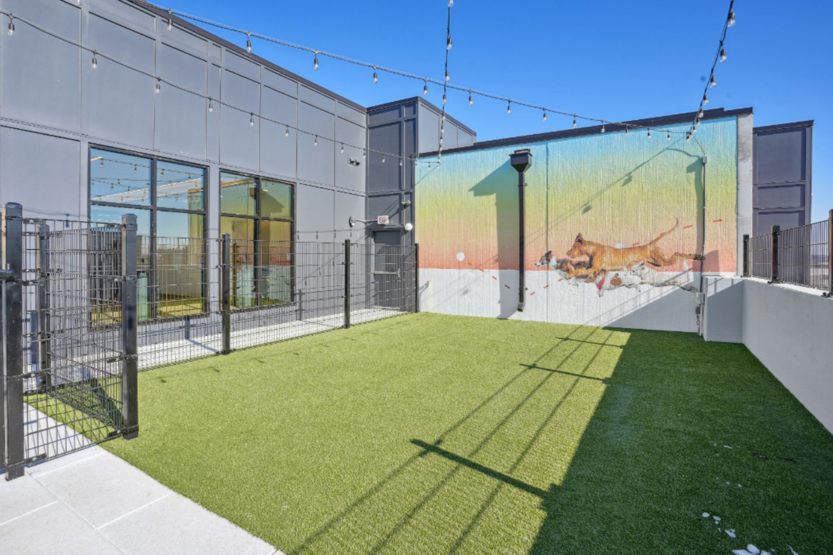 Starling_LuxuryApartmentCommunity_DogRun_NashvilleTN